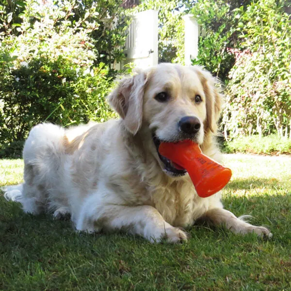 Bionic Super Bone Dog Toy