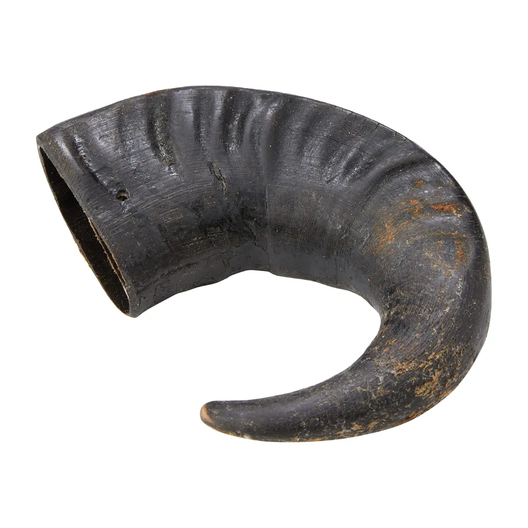 Buffalo Horn