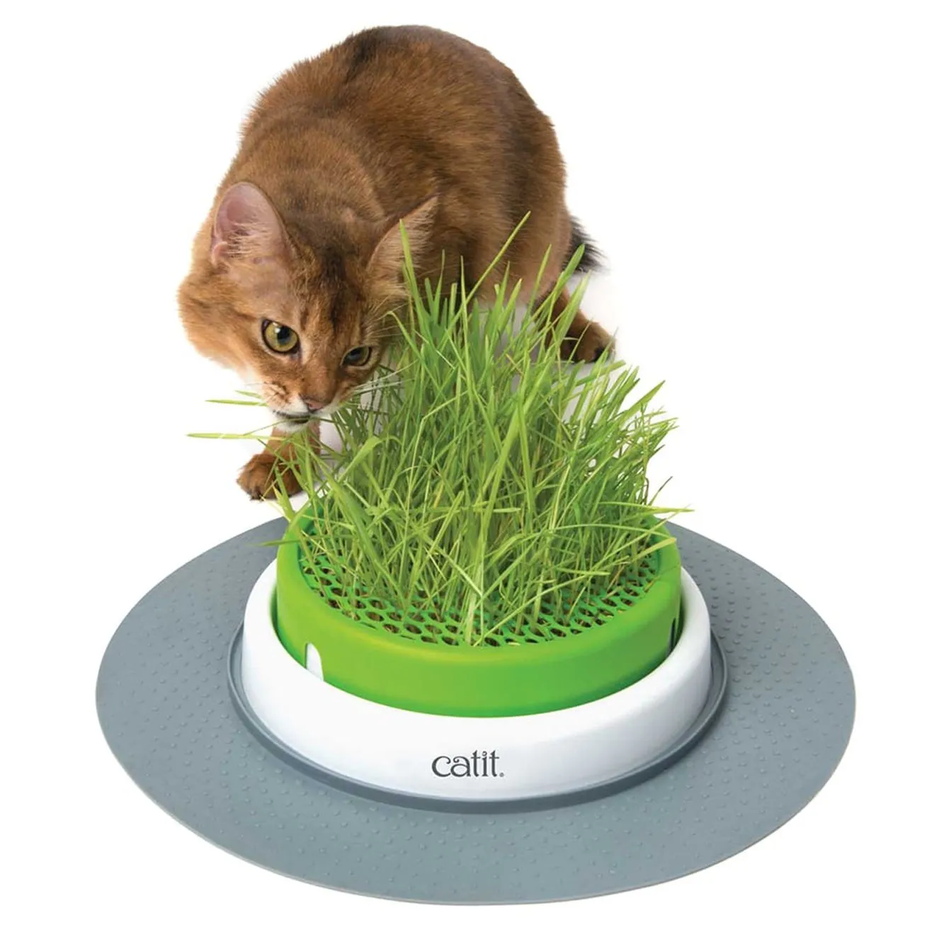 Catit Senses 2.0 Grass Planter