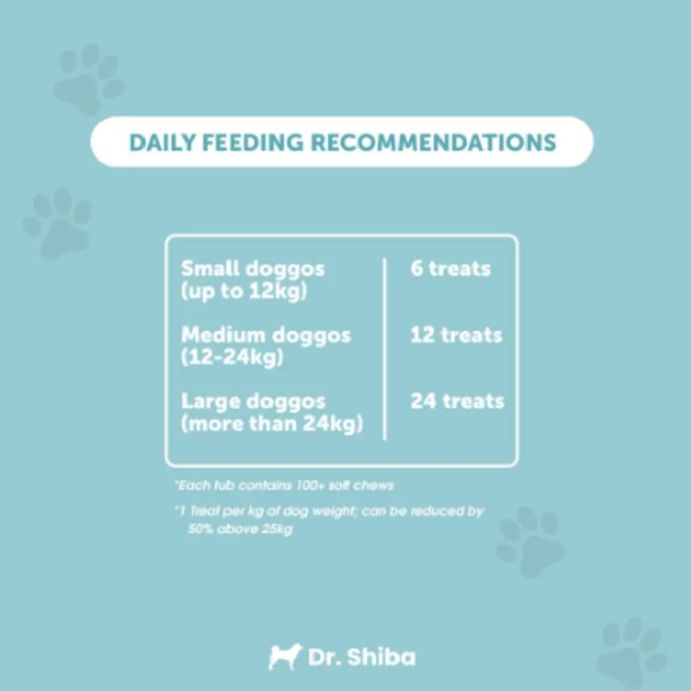 Premium Dr. Shiba Beef-Flavored Happy Tummy Dog Treats Supplement - 250g