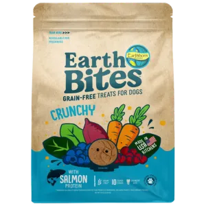 Earthborn Holistic Grain Free EarthBites Salmon Crunchy Treats For Dogs 10oz