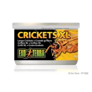 Exo Terra Crickets Extra Large 34g