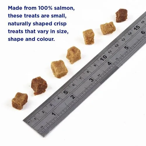 Fish4Dogs PUPPY Salmon Bites Training Treats 80g