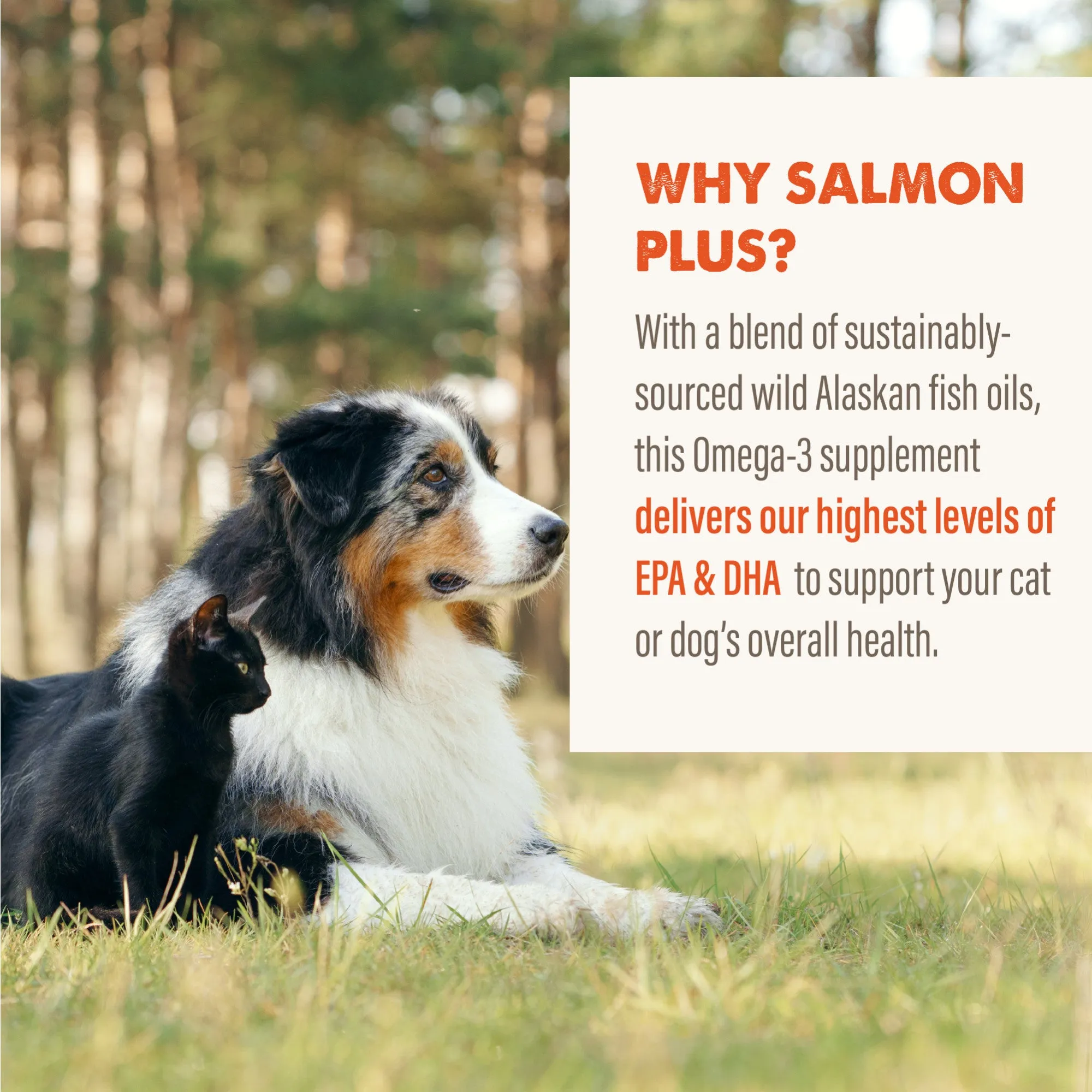 Grizzly Salmon Oil - Omega Plus