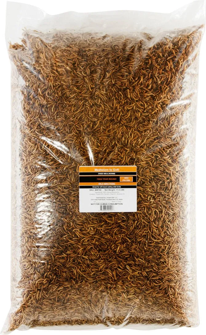 Hentastic Dried Mealworms