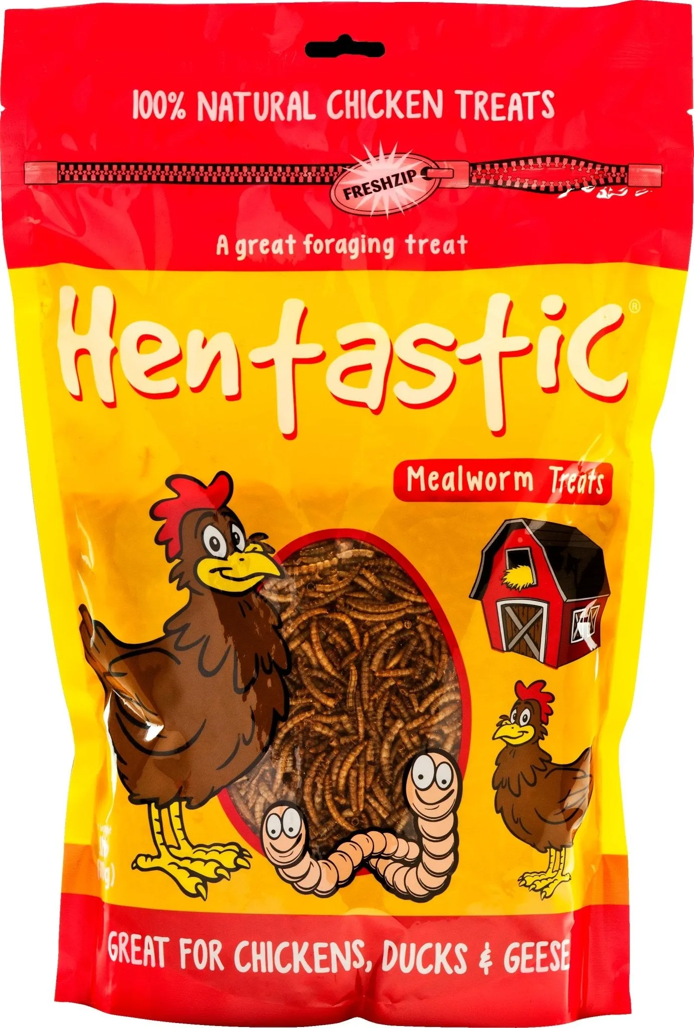 Hentastic Dried Mealworms