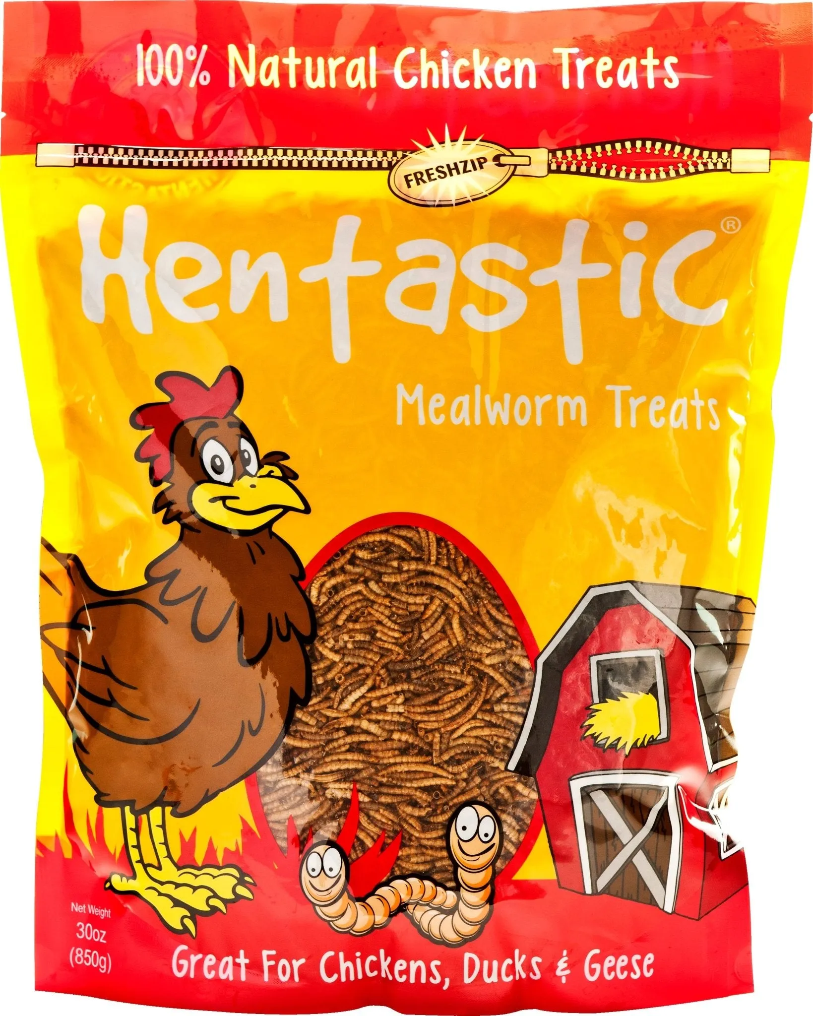 Hentastic Dried Mealworms