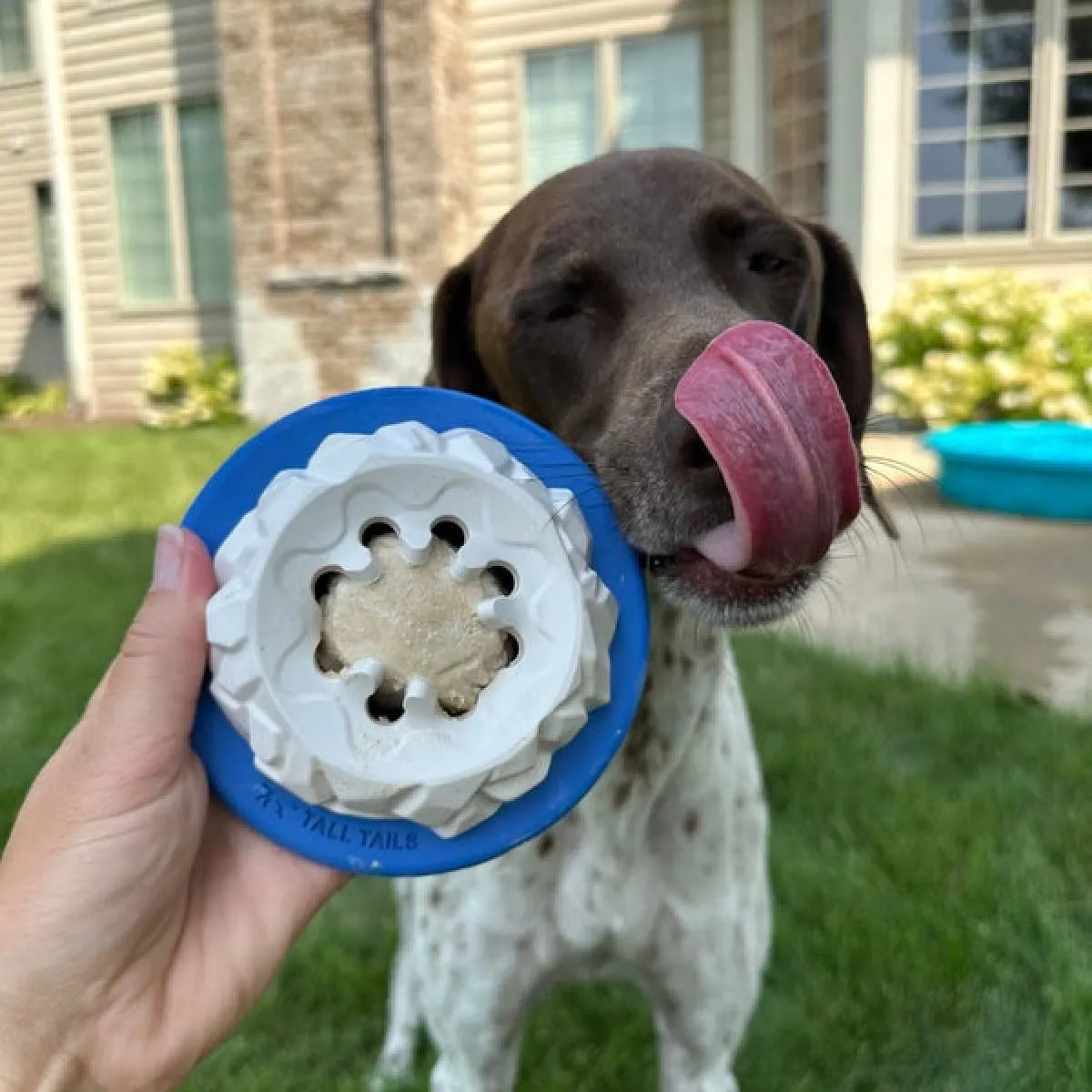 Interactive Treat Dispensing Puzzle Rubber Dog Toy: Polar Freezable