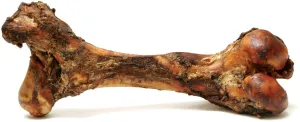 Jumbo Beef Bone for Medium to Large Dogs