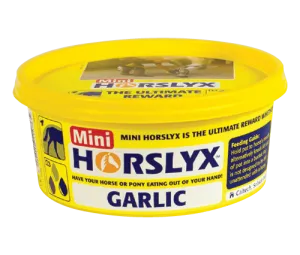 Mini Horslyx 650gm Garlic