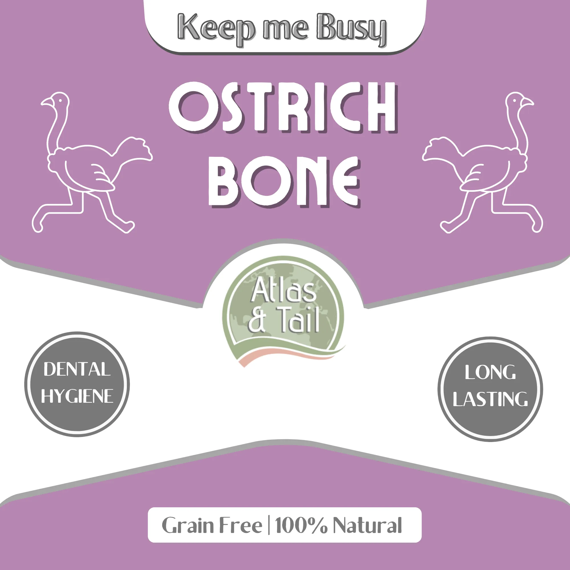 Ostrich Bone