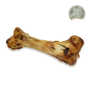 Ostrich Bone