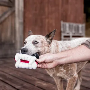 P.L.A.Y. Howling Haunts Barky's Bite