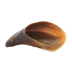 Redbarn Cow Hoof 0.7oz