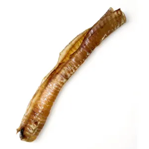 The Source-sage Club Beef Trachea 1pc